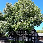 Hof Ewers Nyaraló