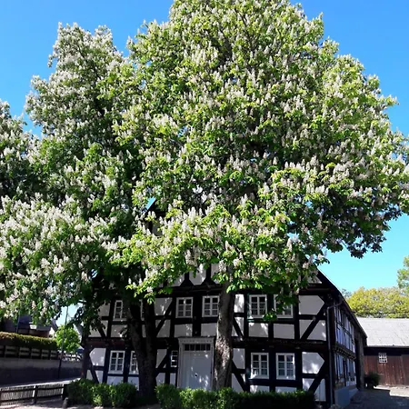 Hof Ewers Holiday home